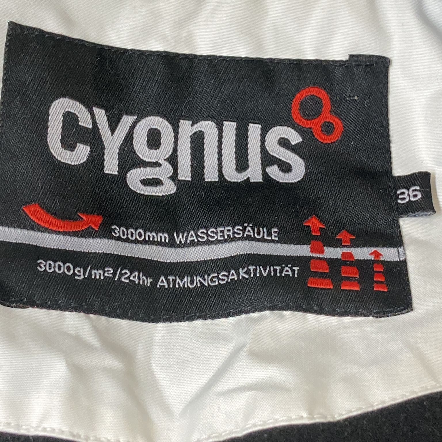 Cygnus