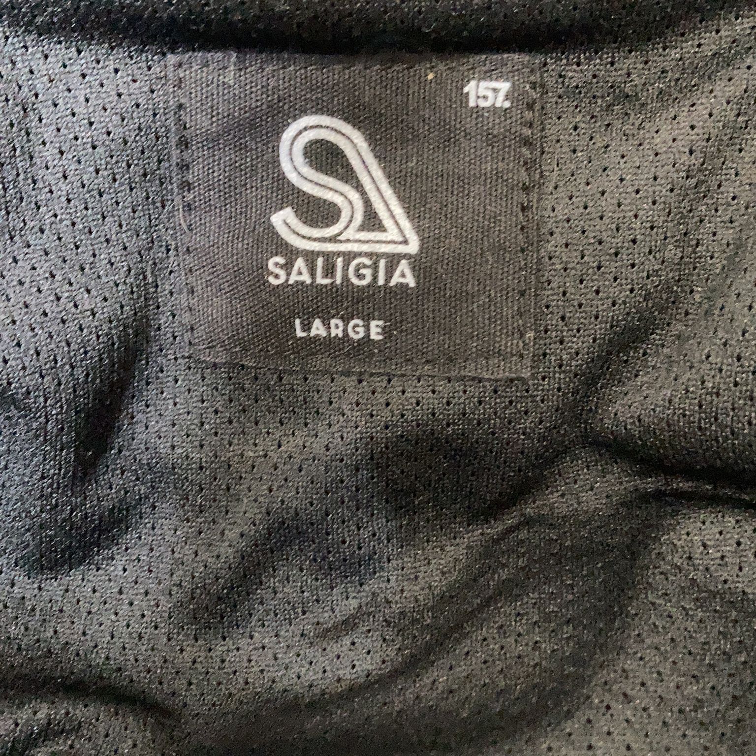 Saligia