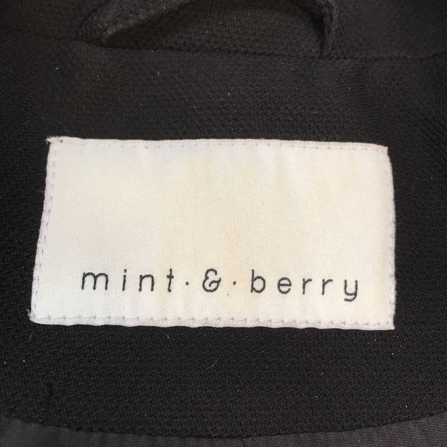 Mint  Berry