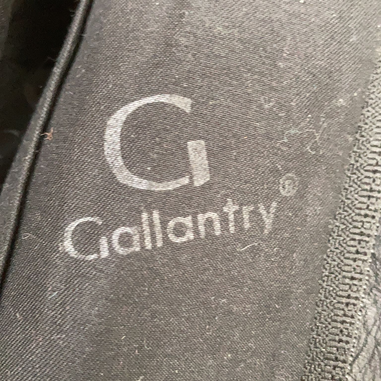 Gallantry