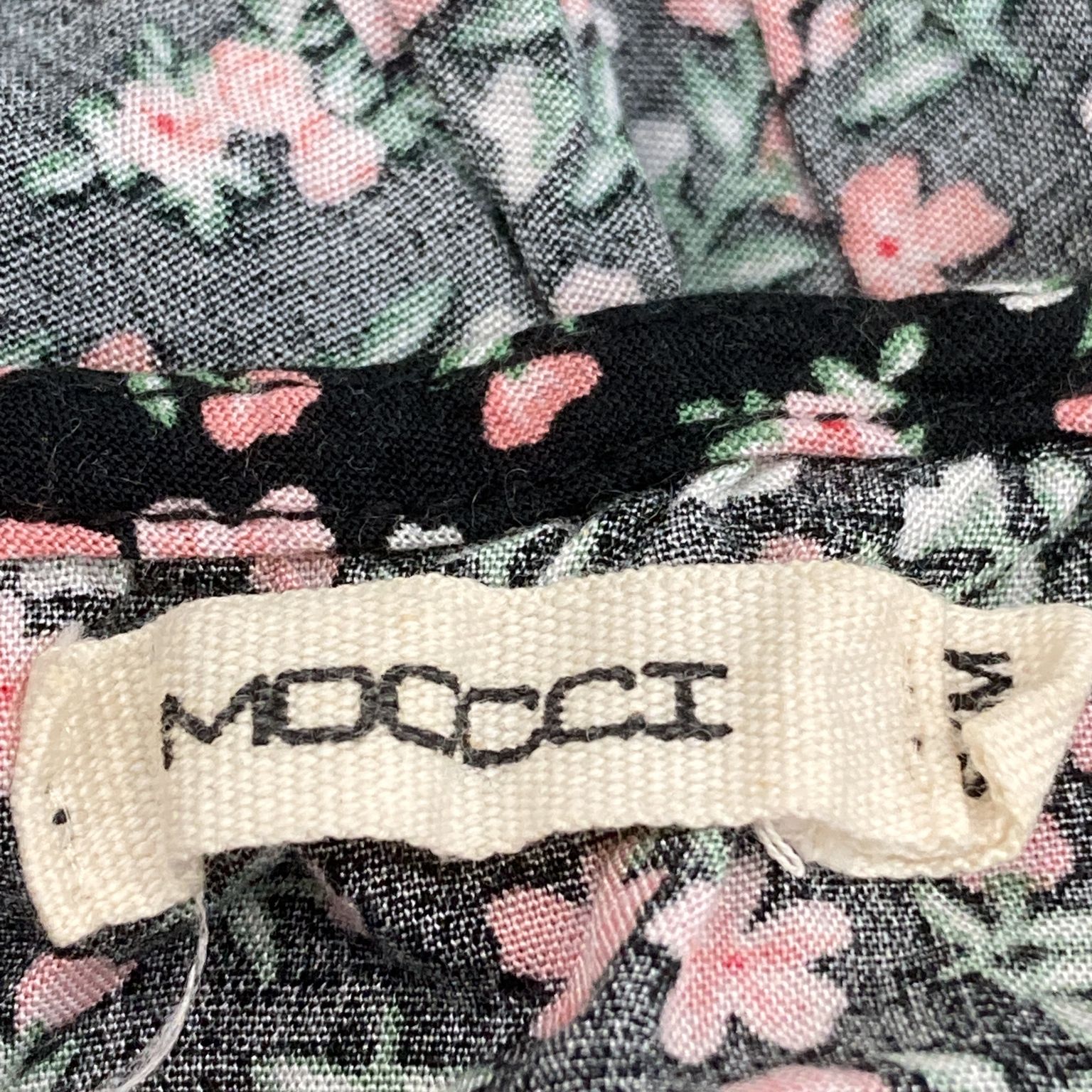 Moocci