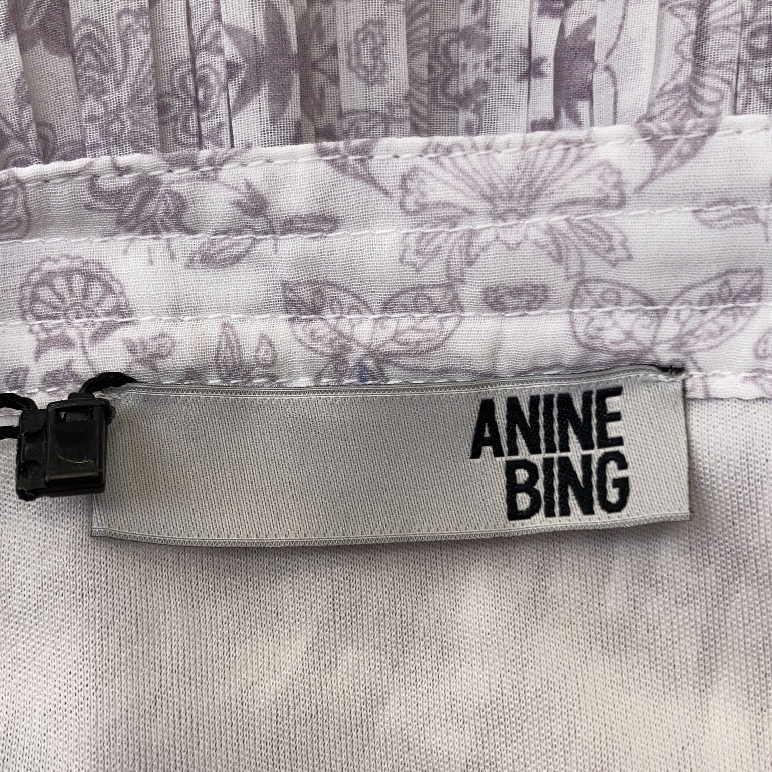 Anine Bing