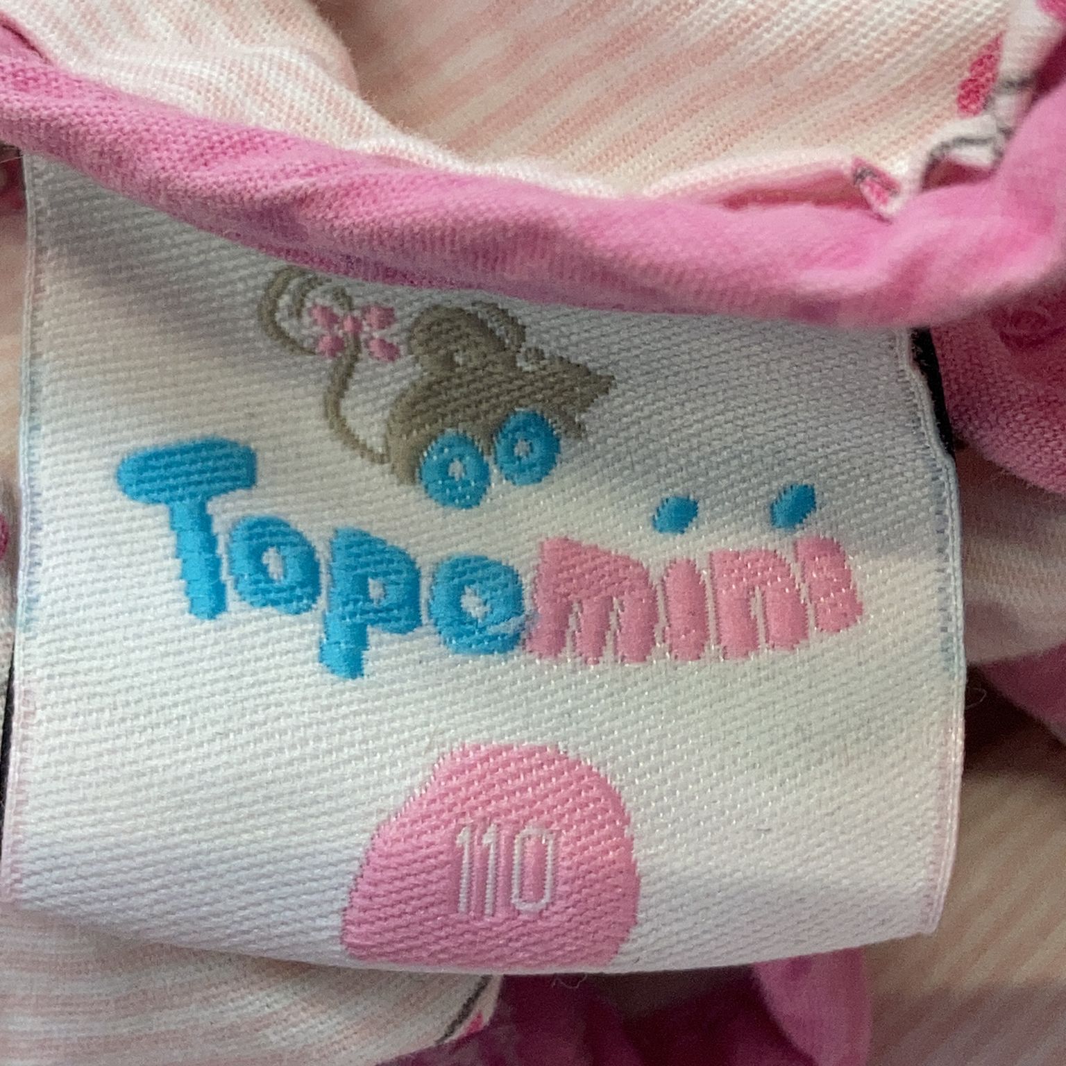 Topomini