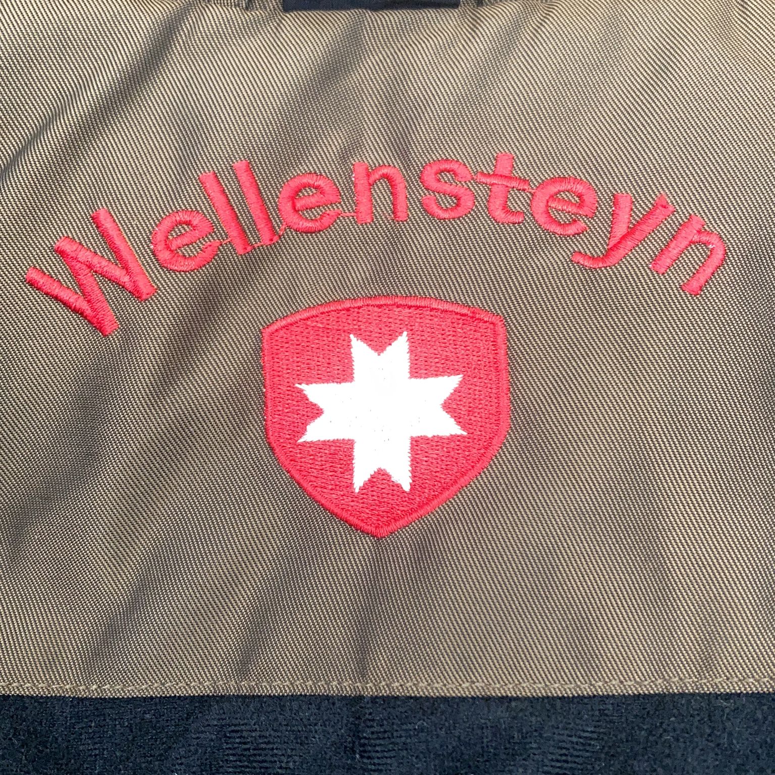 Wellensteyn