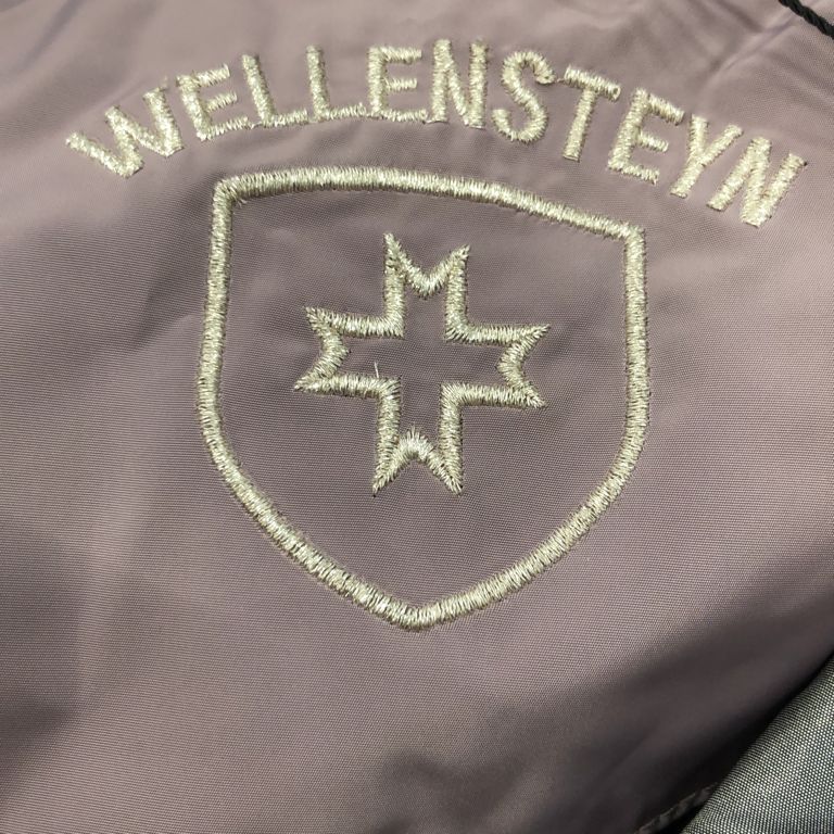 Wellensteyn