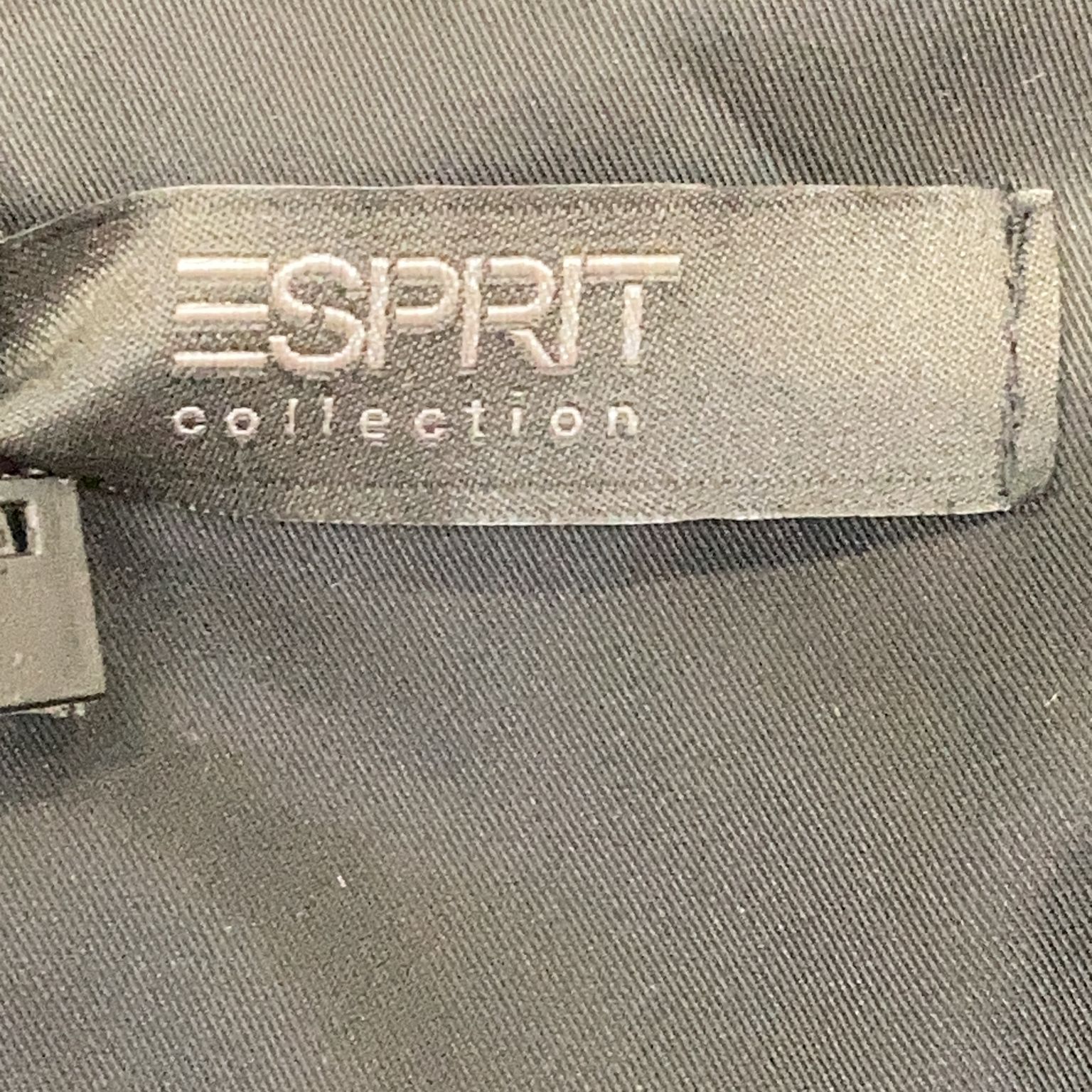 ESPRIT Collection