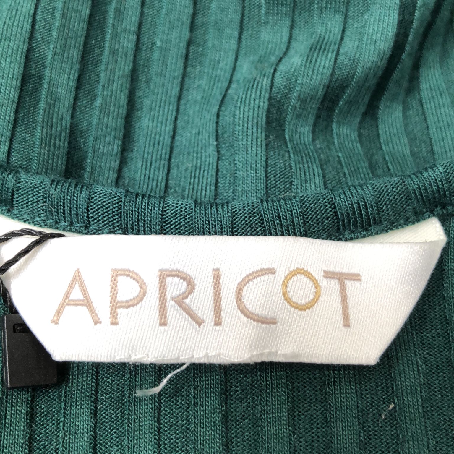 Apricot