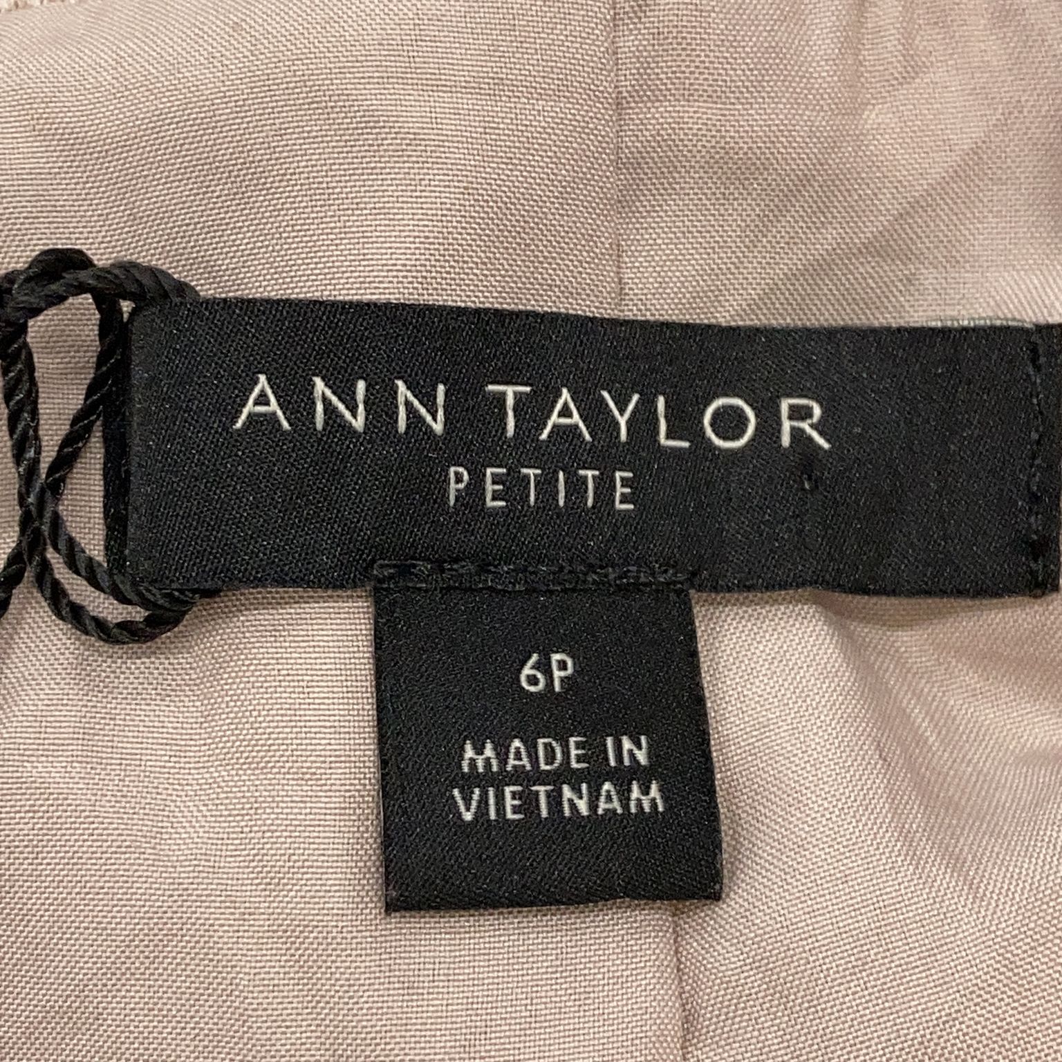 Ann Taylor Petite