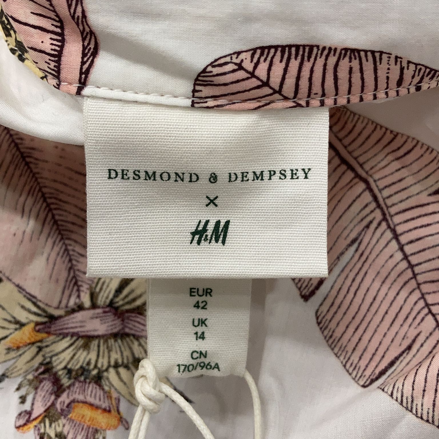 Desmond  Dempsey x HM