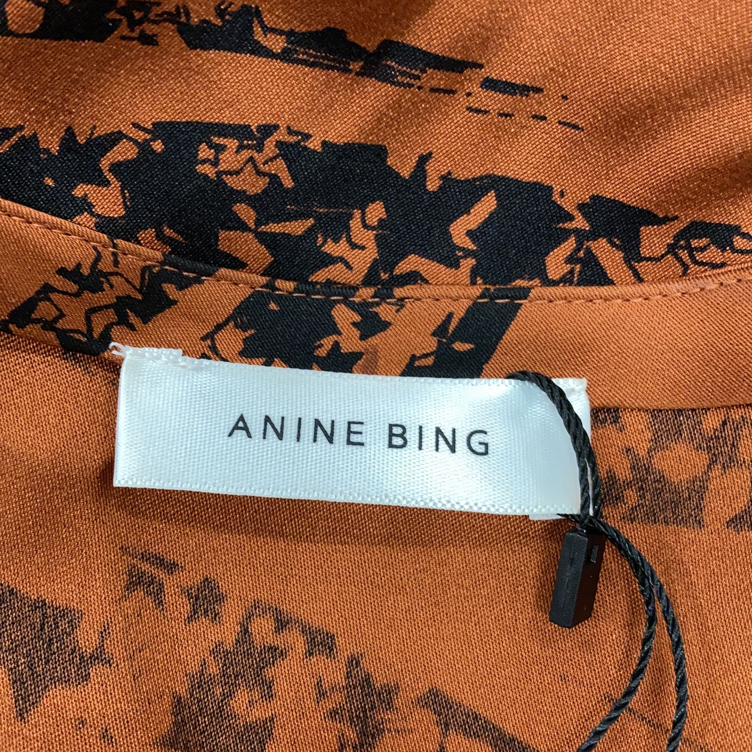 Anine Bing