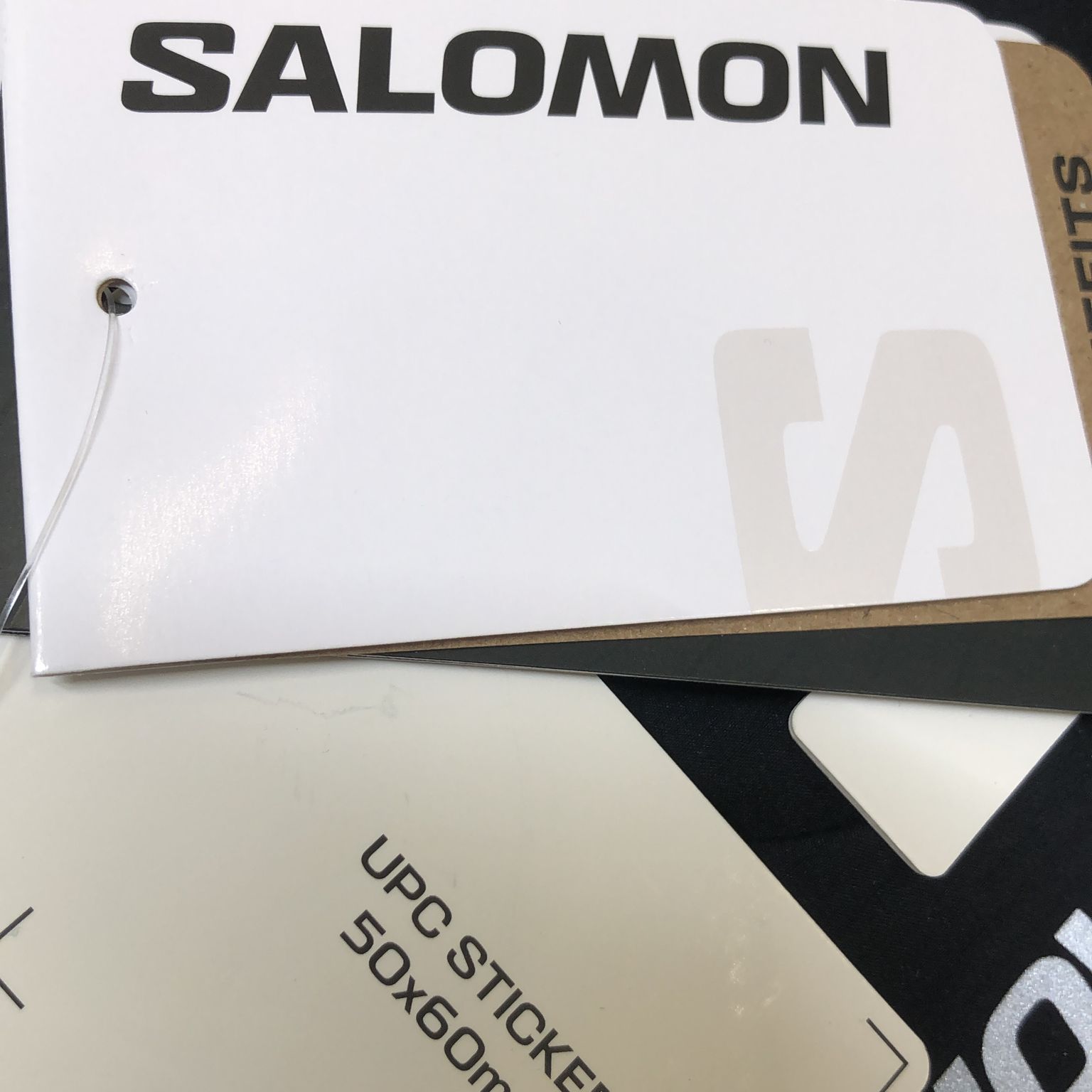 Salomon