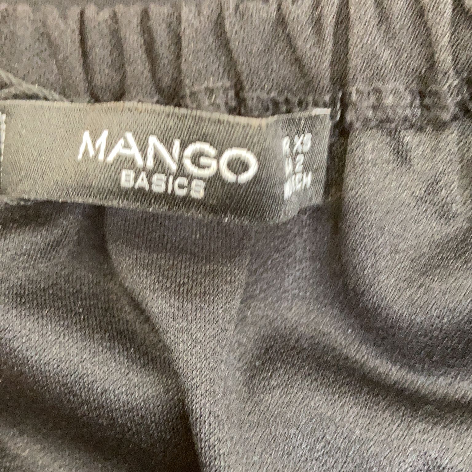 Mango Basics