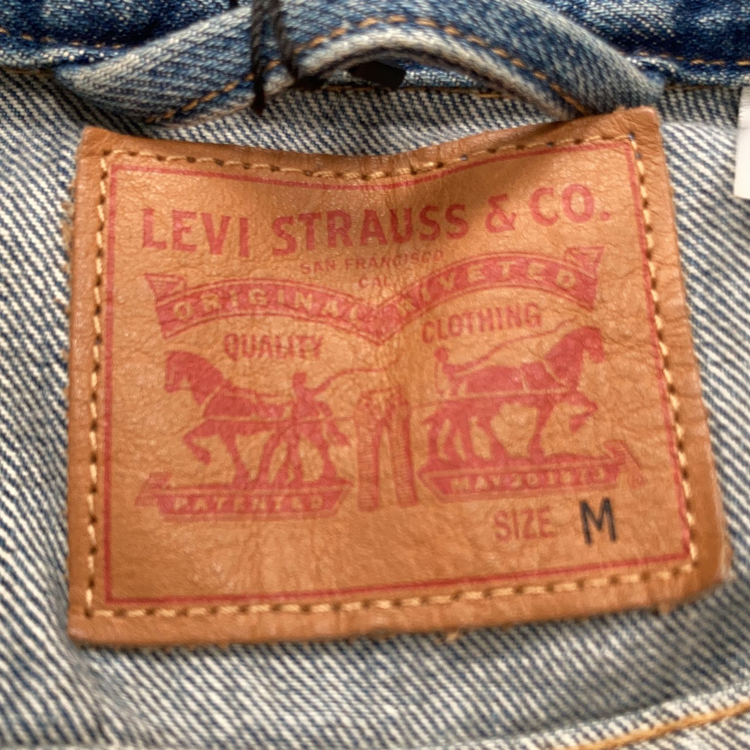 Levi Strauss  Co