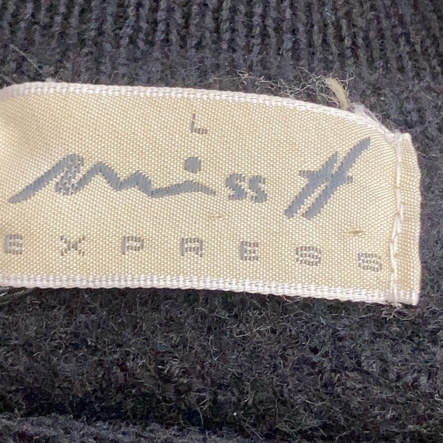 Miss H Express