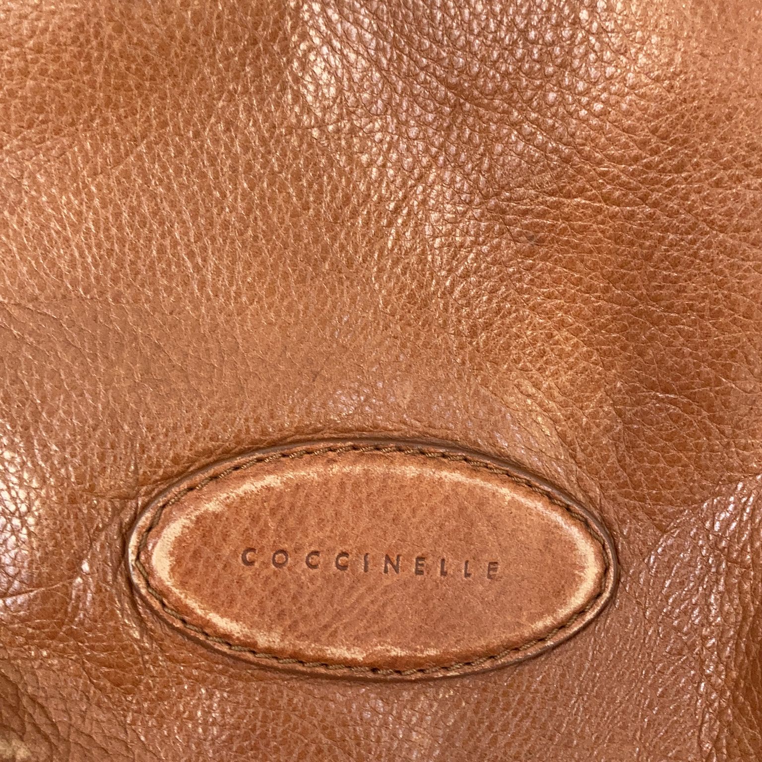 Coccinelle