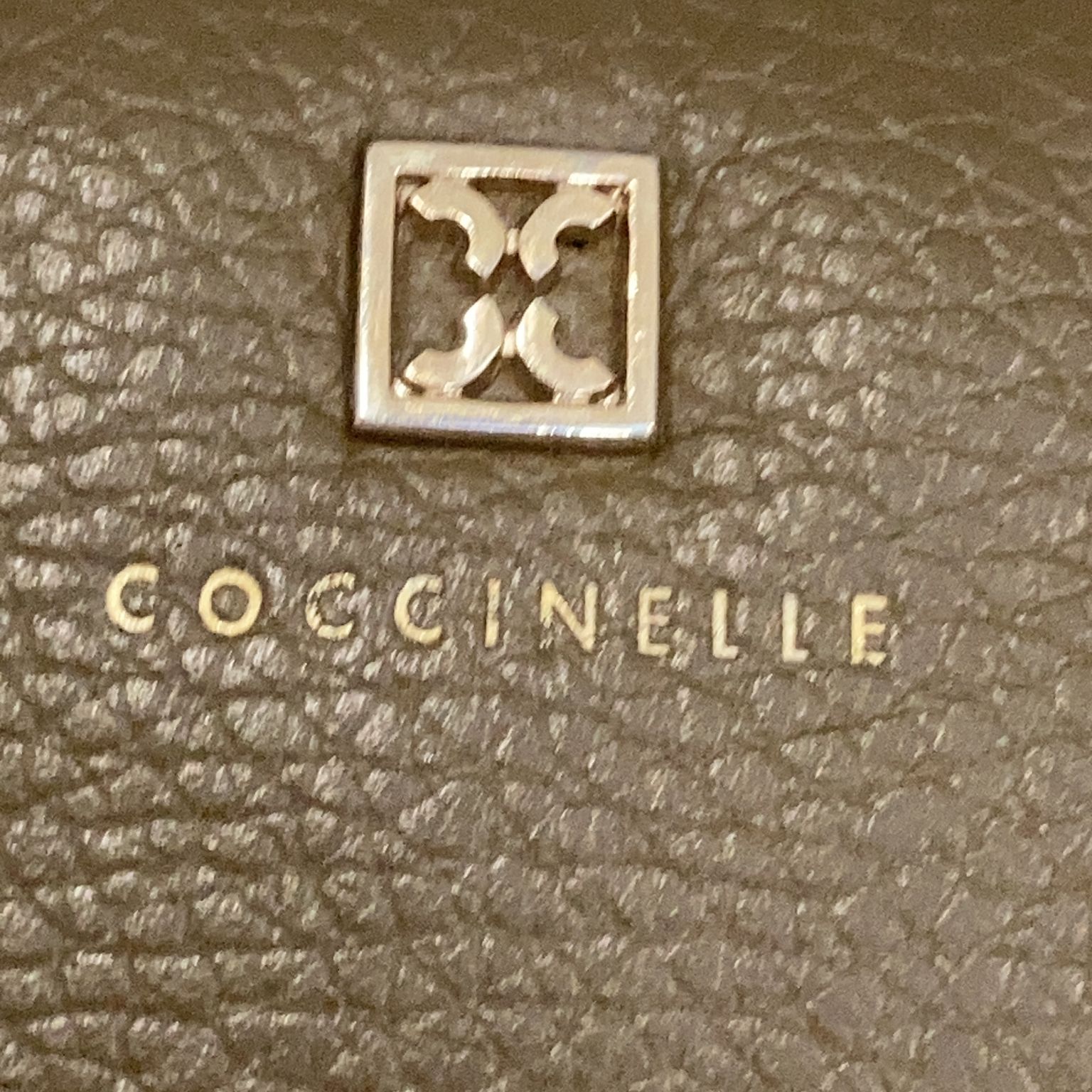 Coccinelle