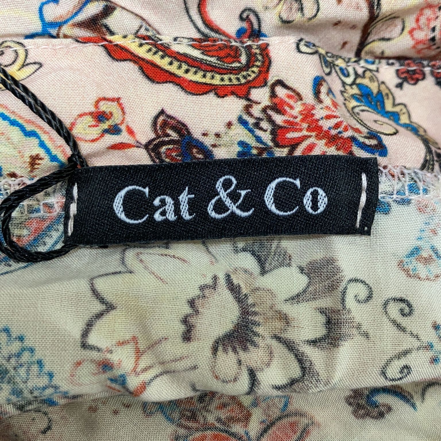 Cat  Co