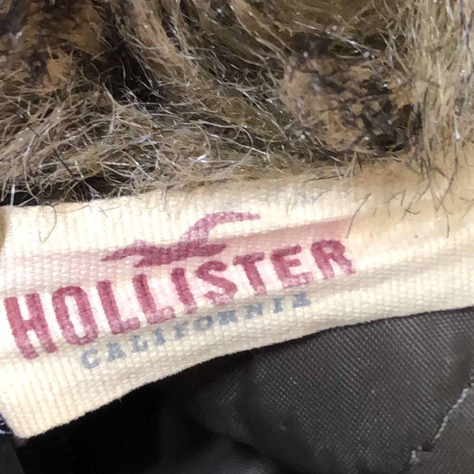 Hollister