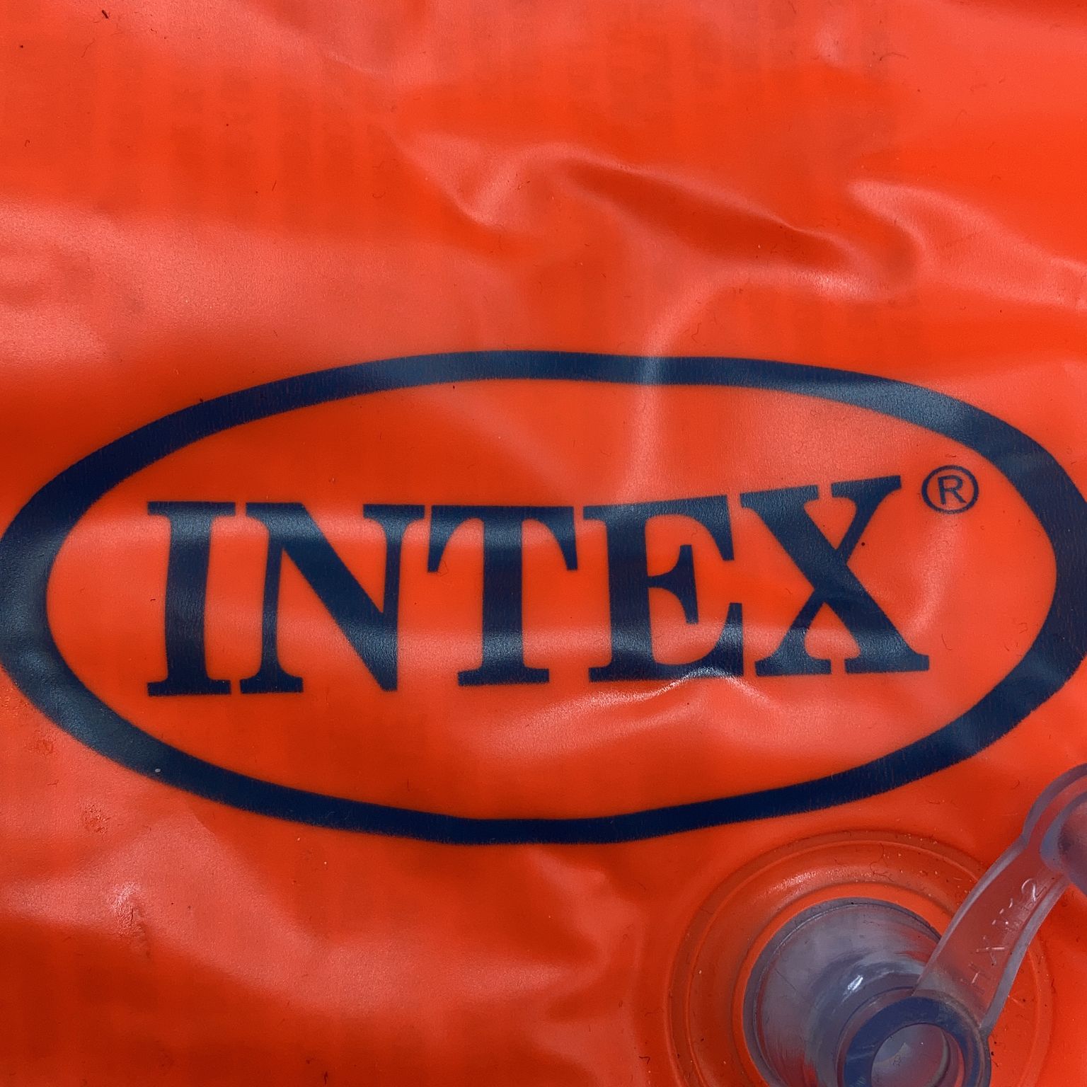 Intex