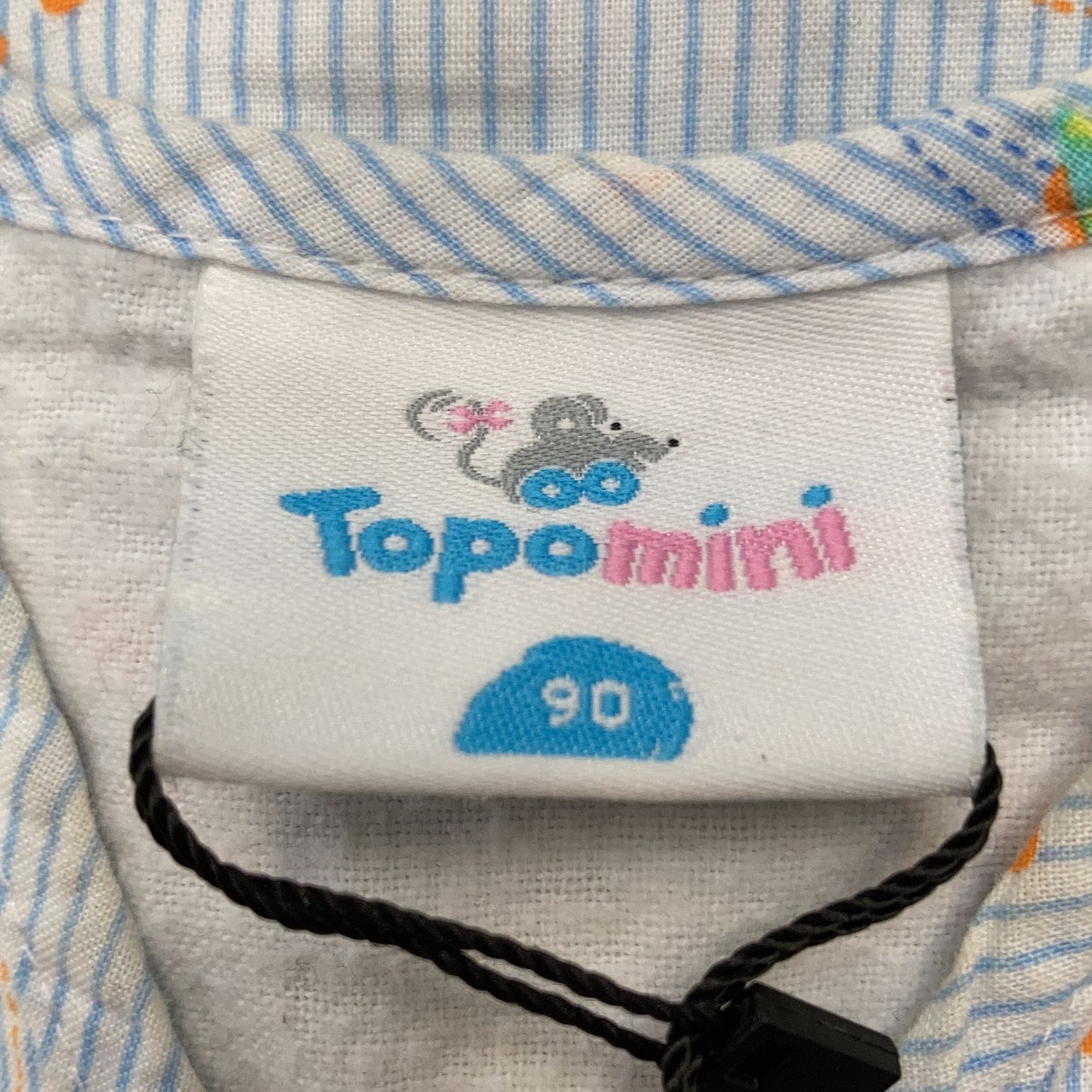 Topomini