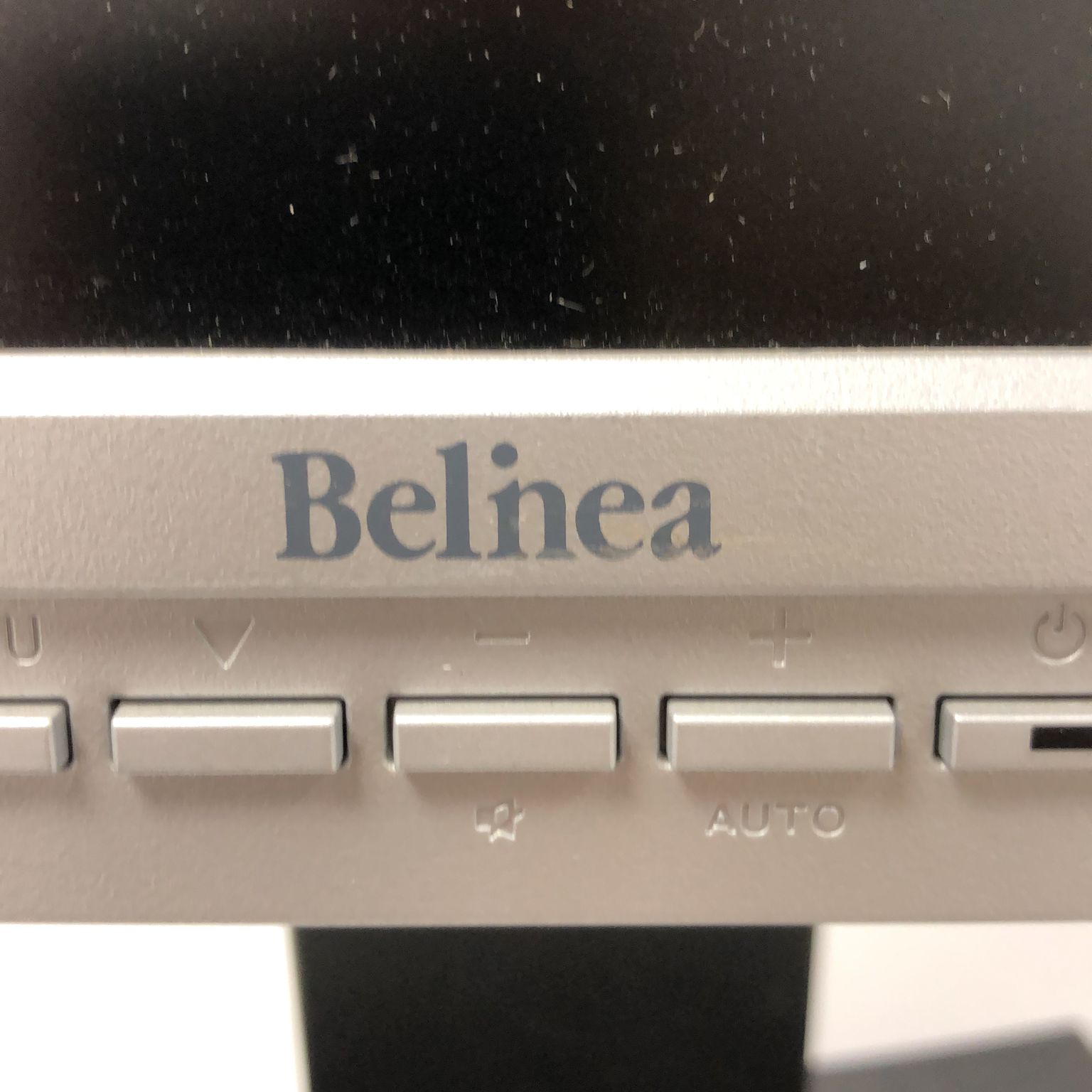 Belnea