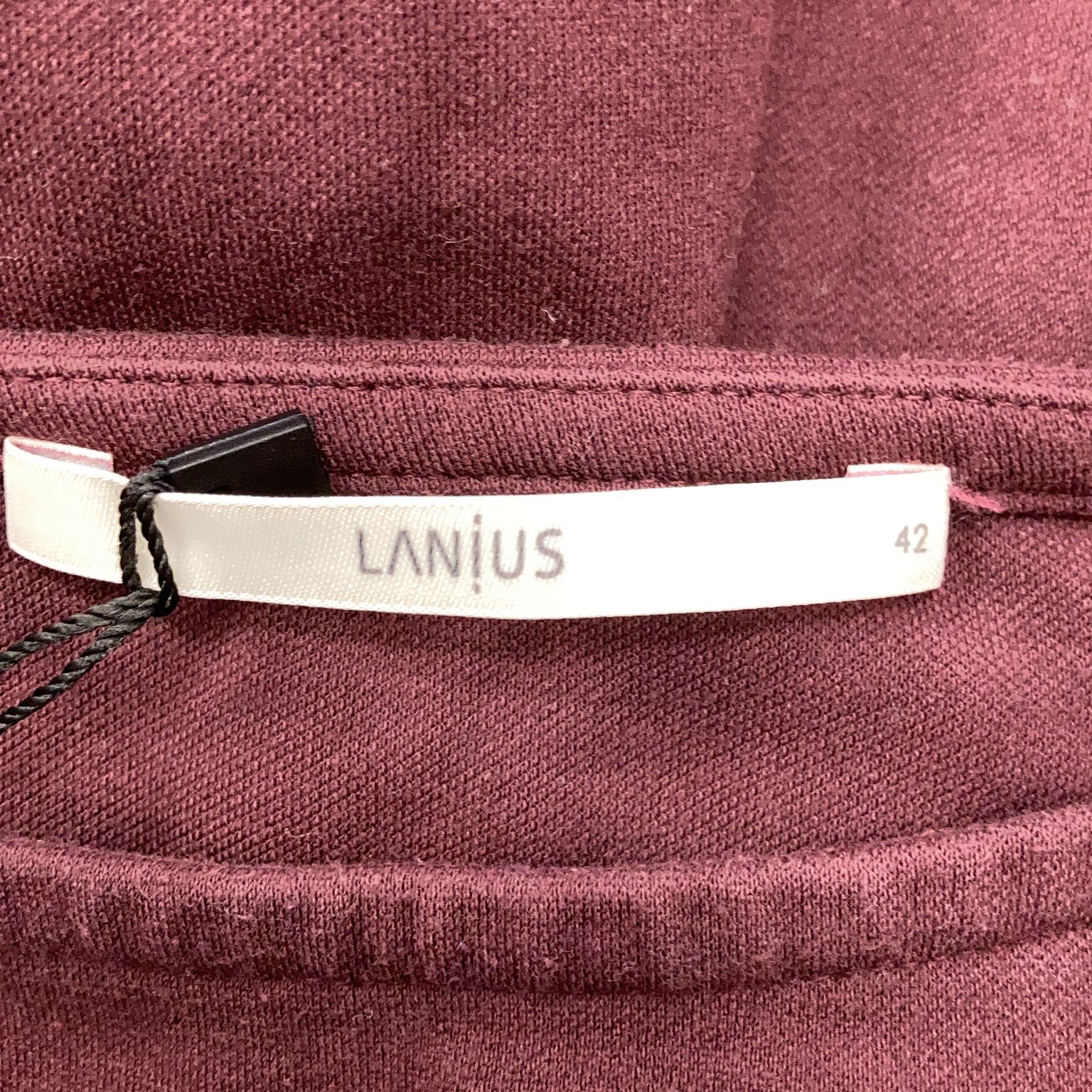 Lanius