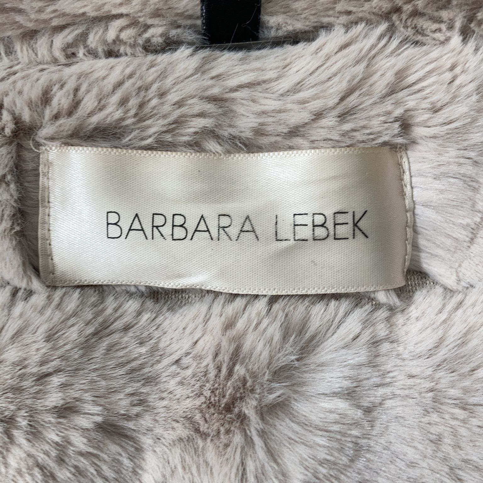 Barbara Lebek