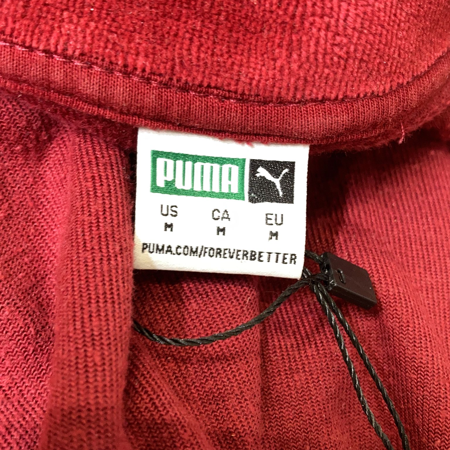 Puma