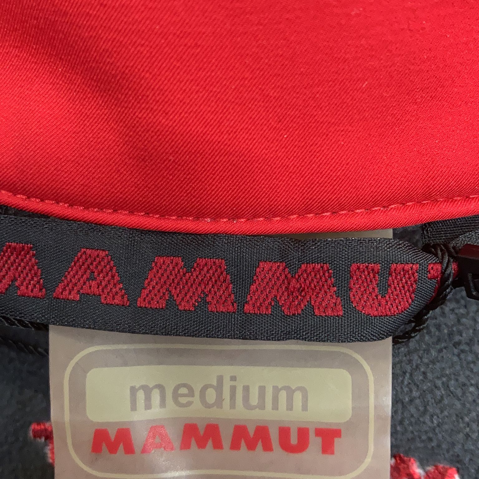 Mammut