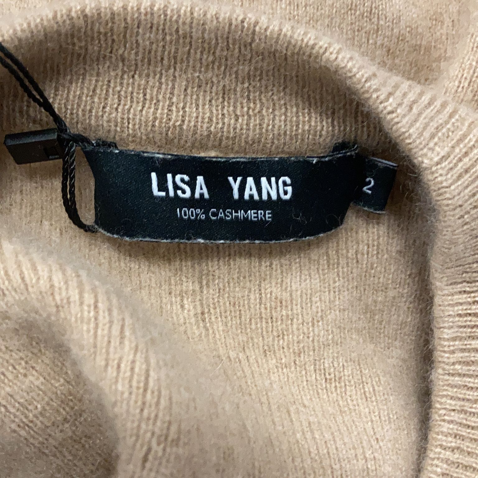 Lisa Yang