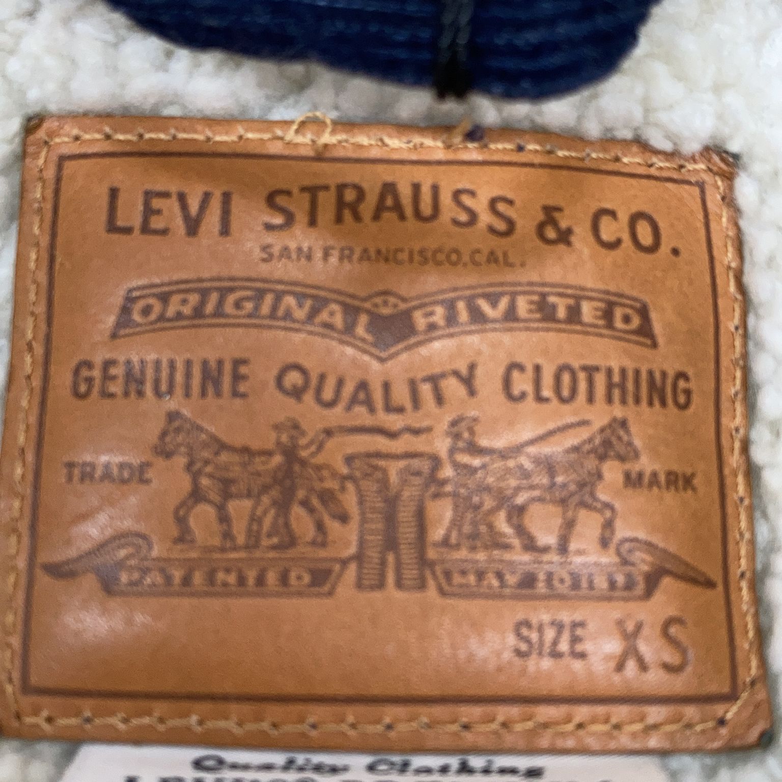 Levi Strauss  Co