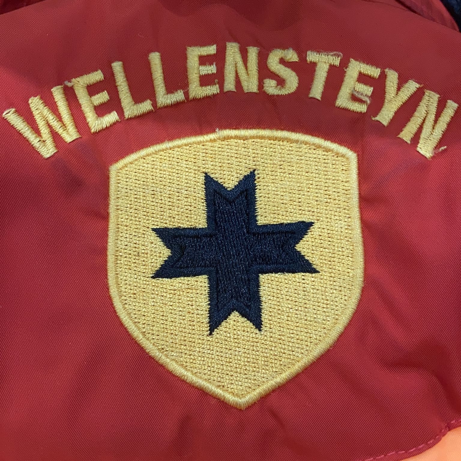 Wellensteyn