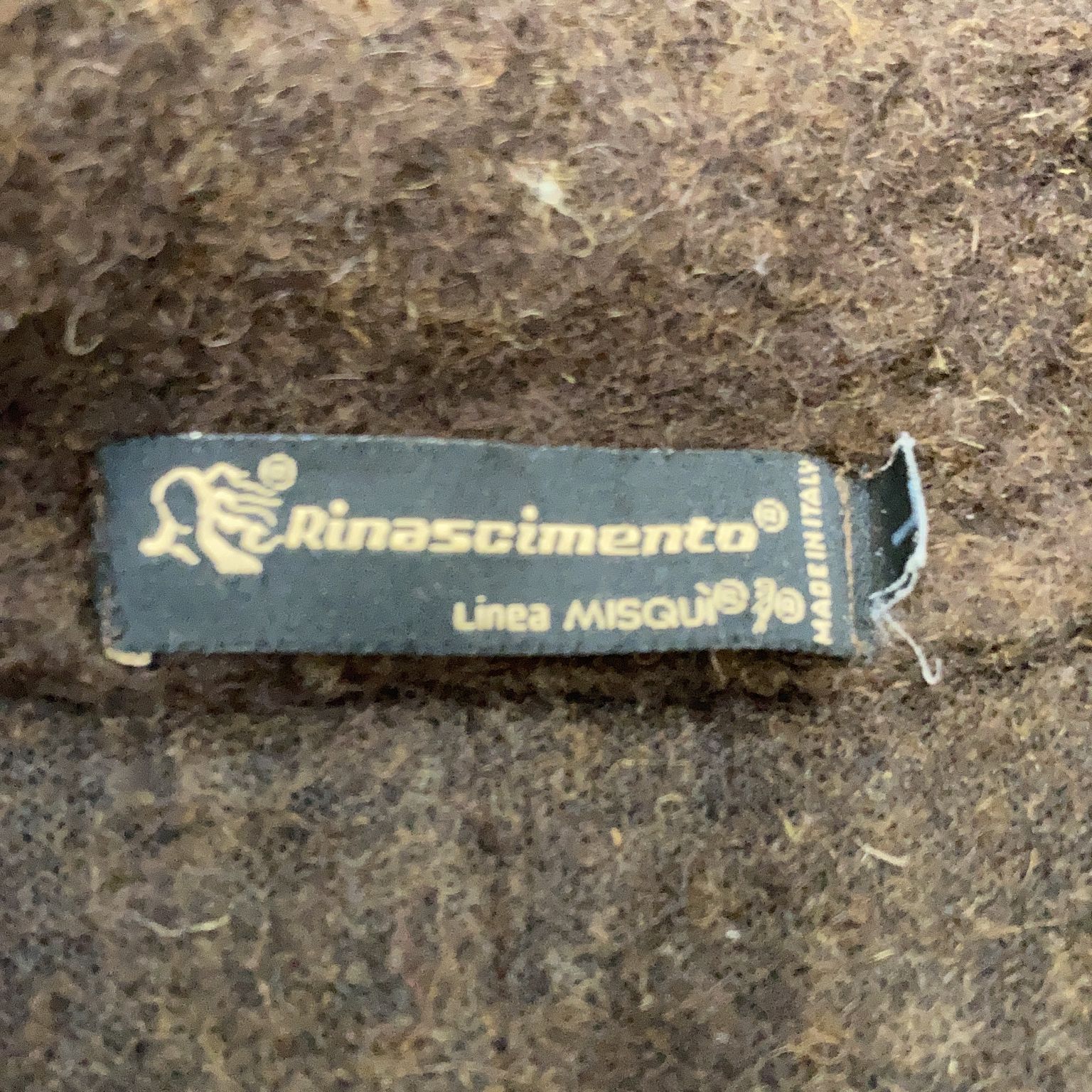 Rinascimento