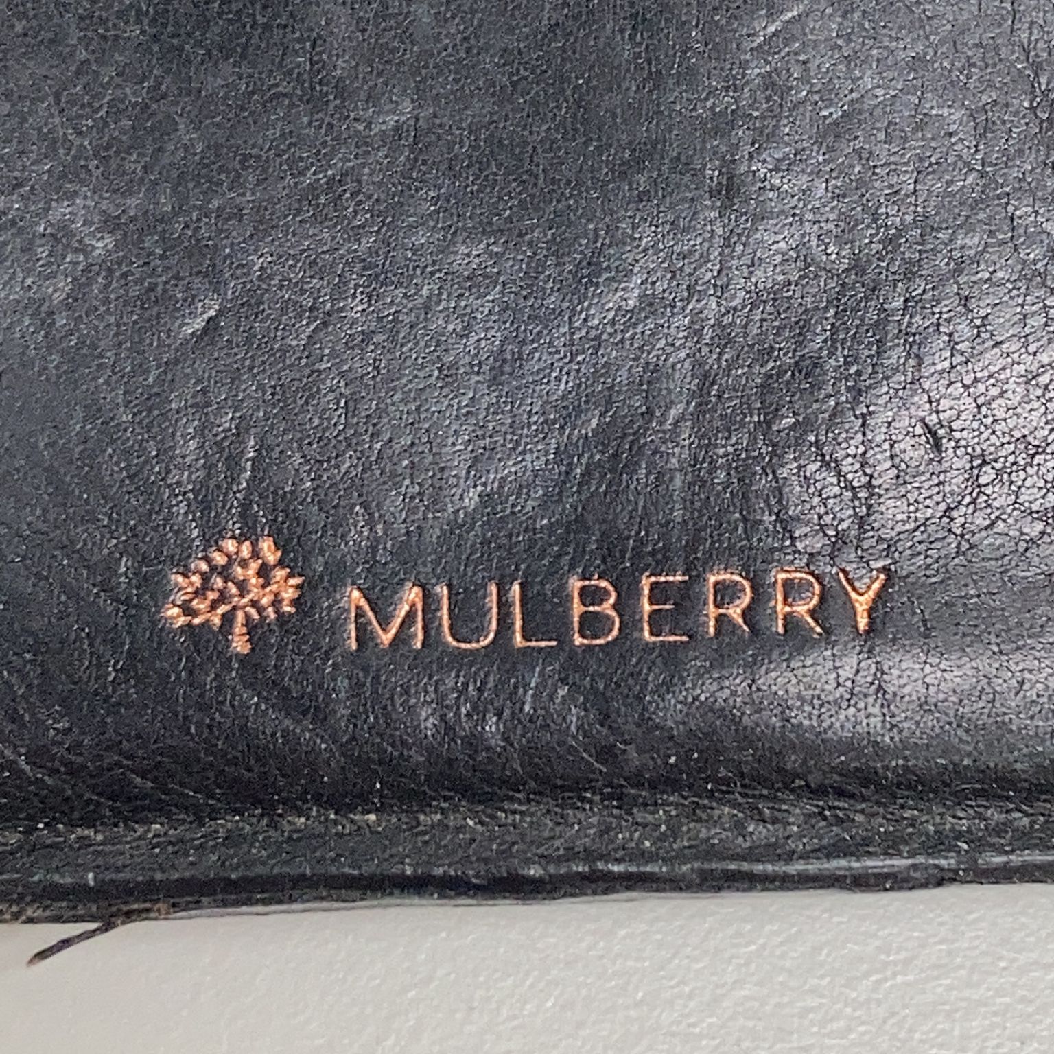 Mulberry