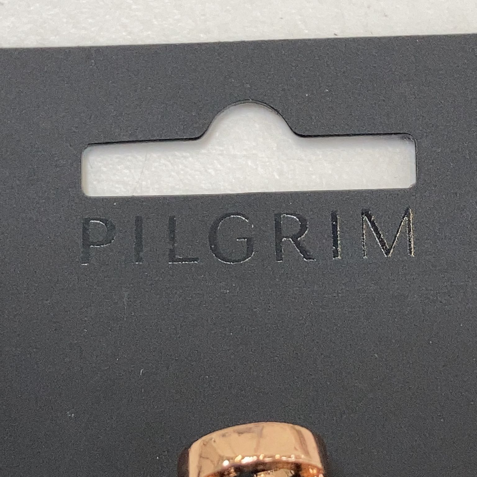 Pilgrim