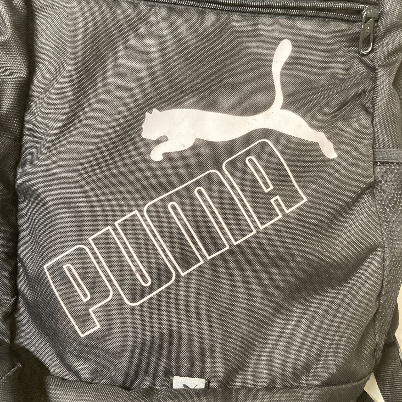 Puma