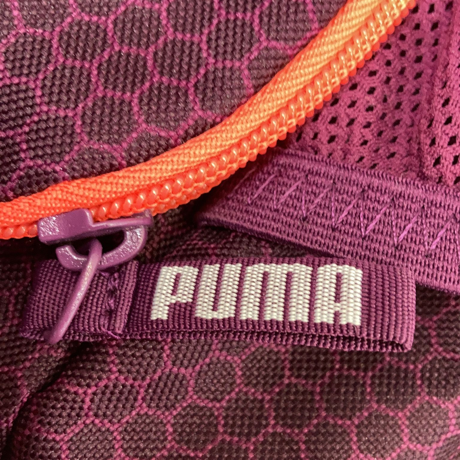 Puma