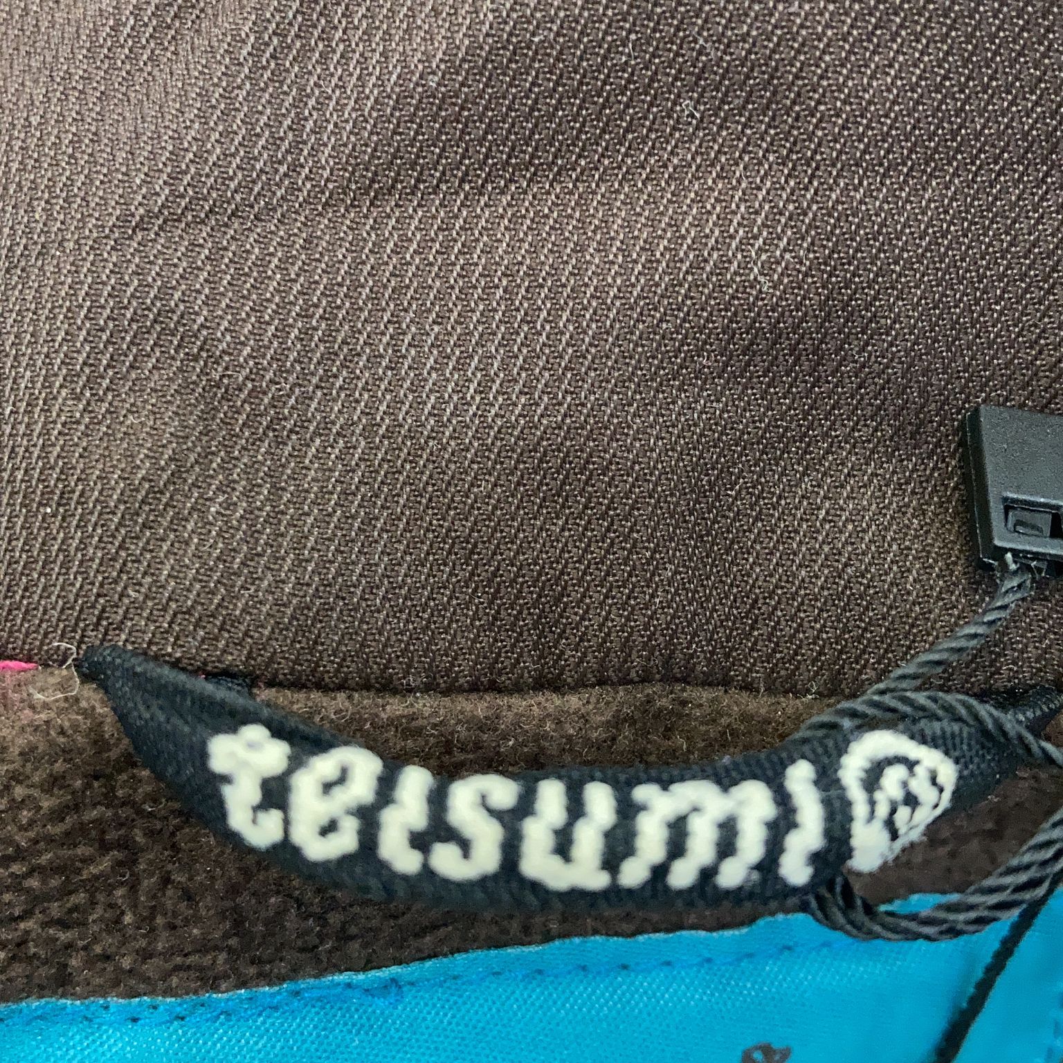 Teisumi