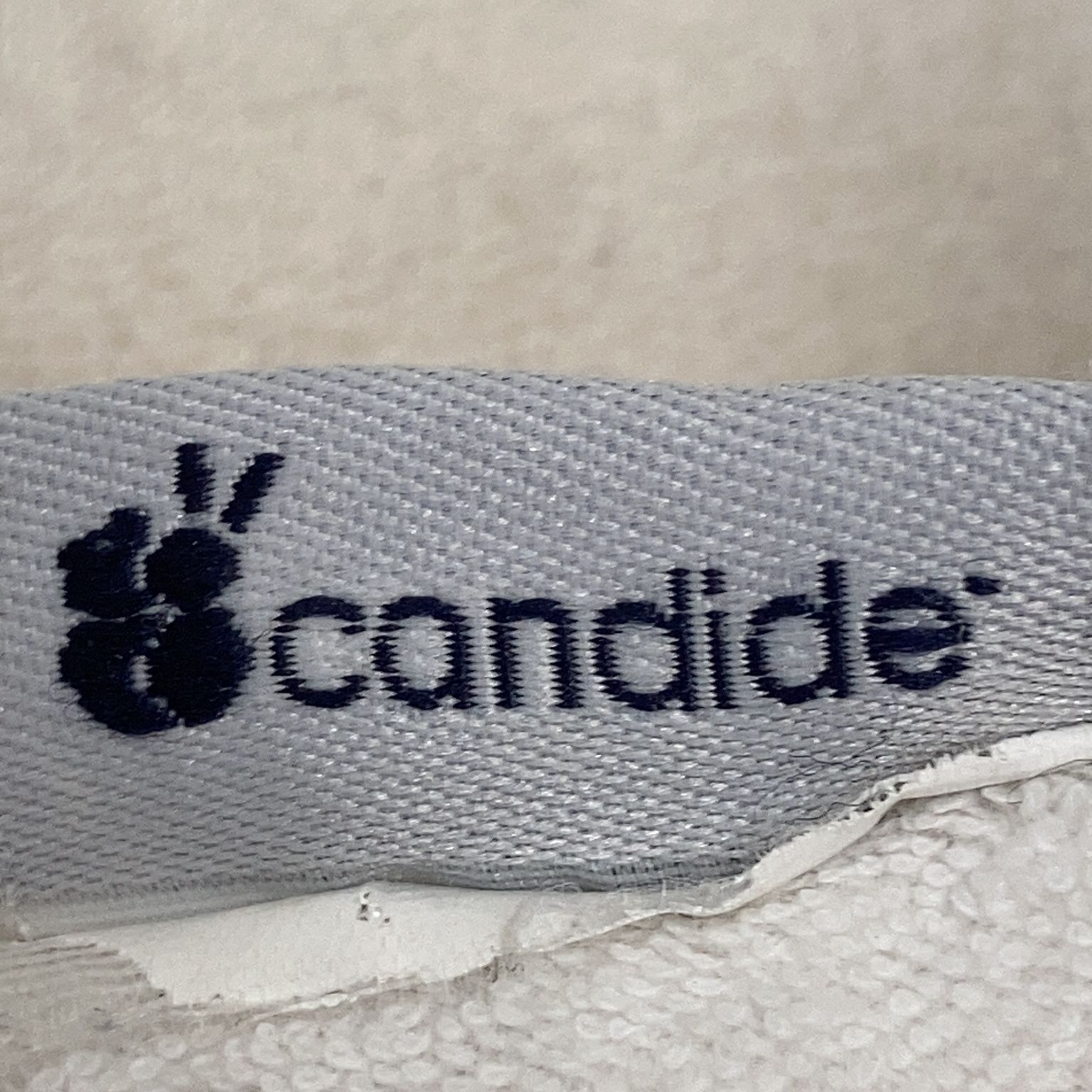 Candide