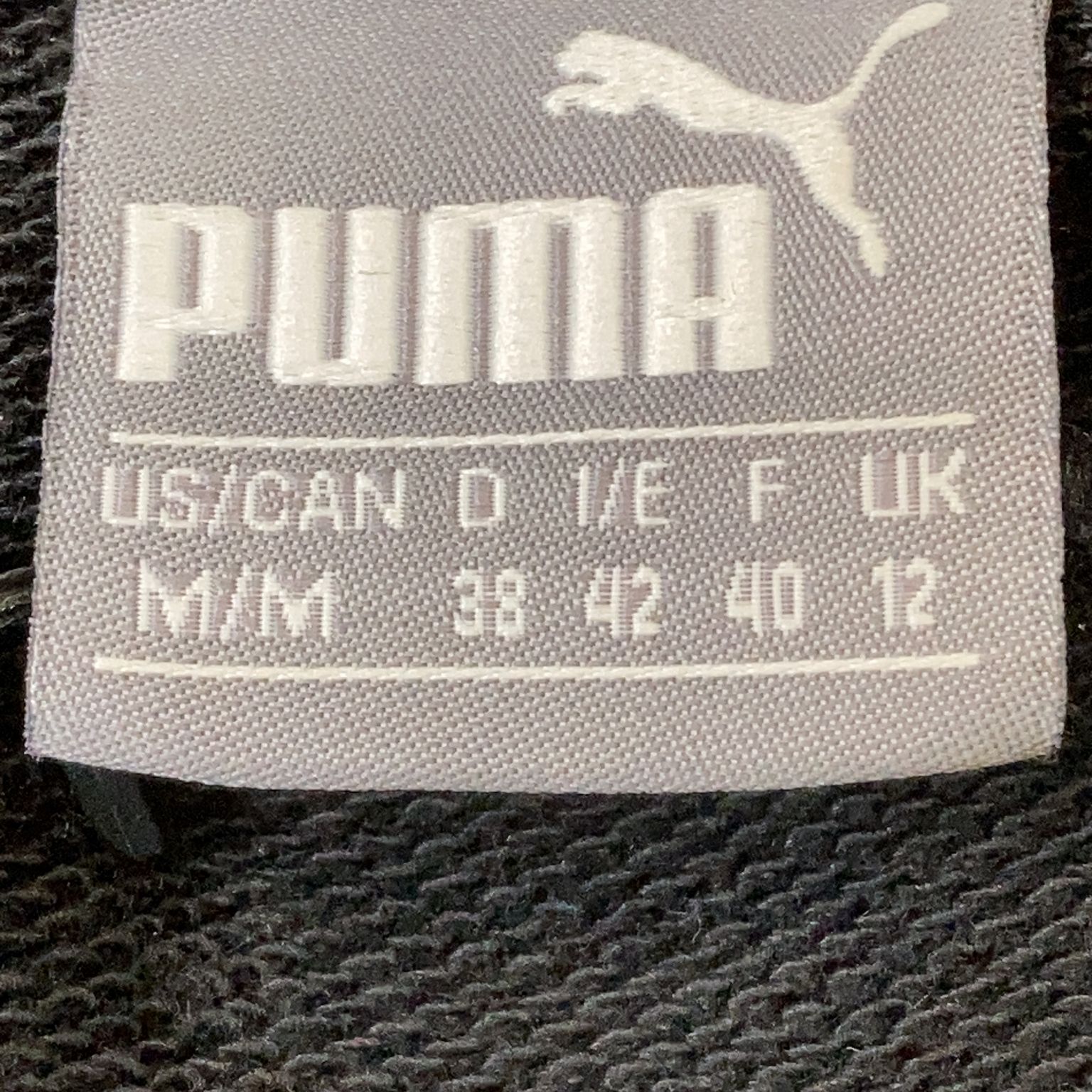 Puma