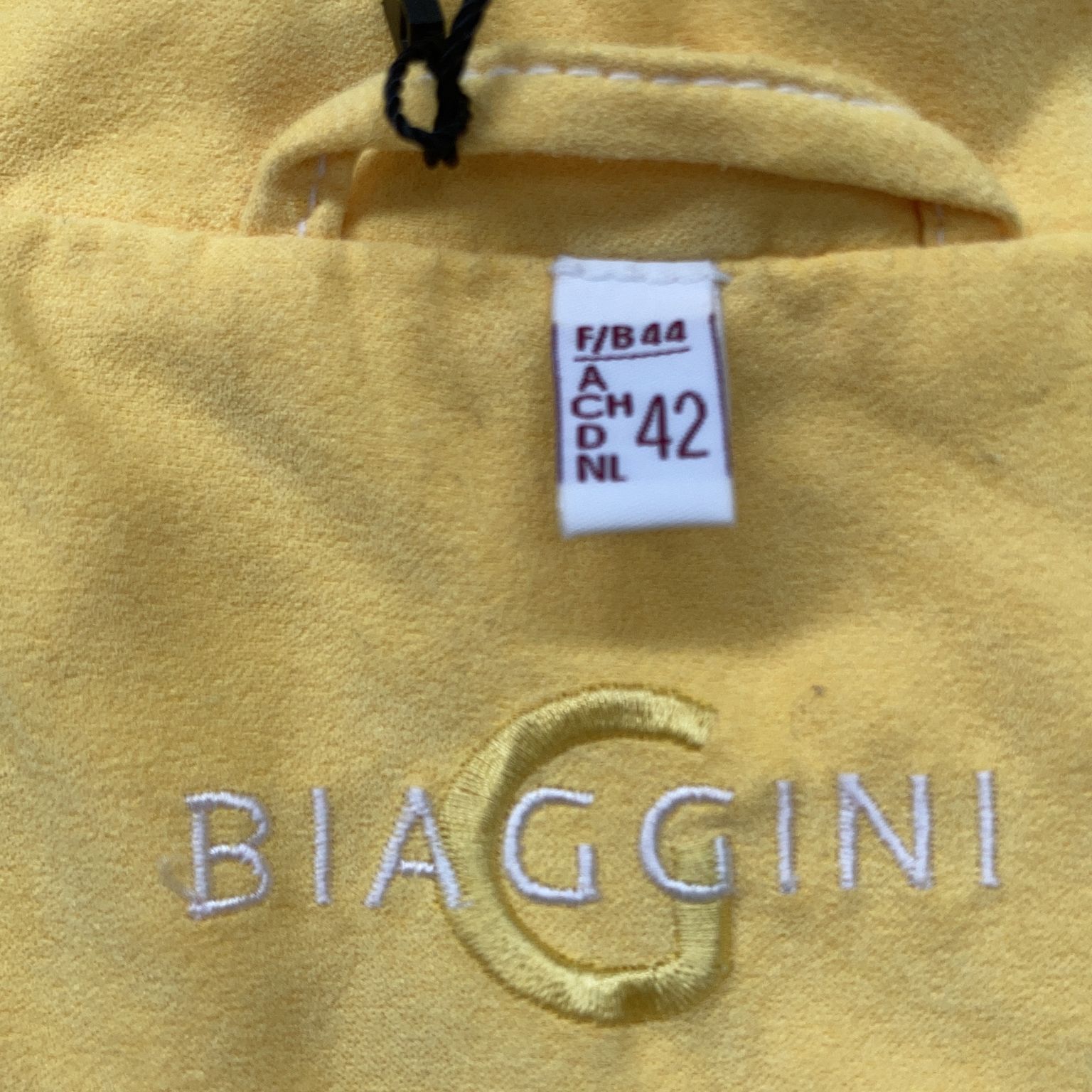 Biaggini