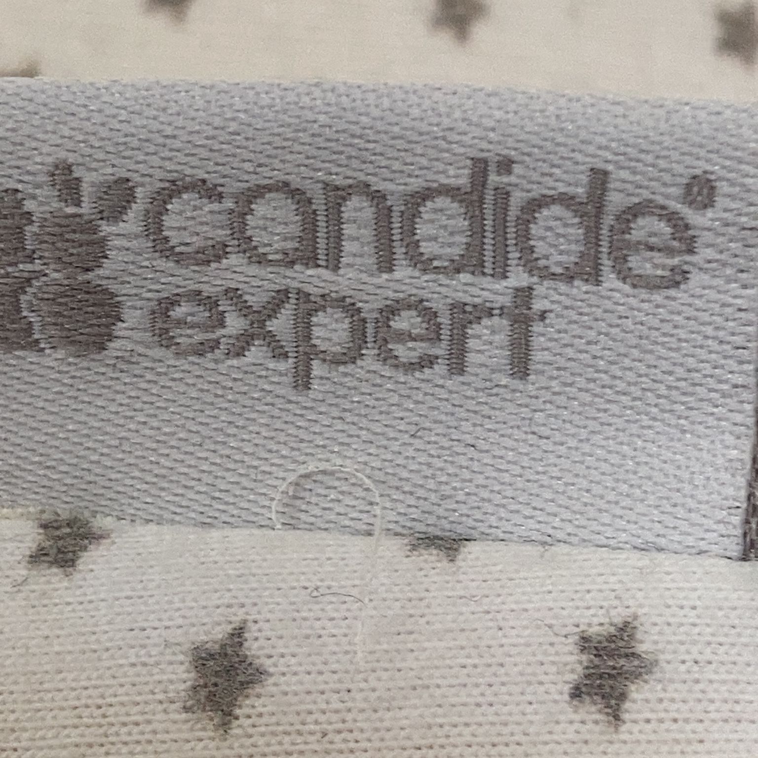 Candide Expert