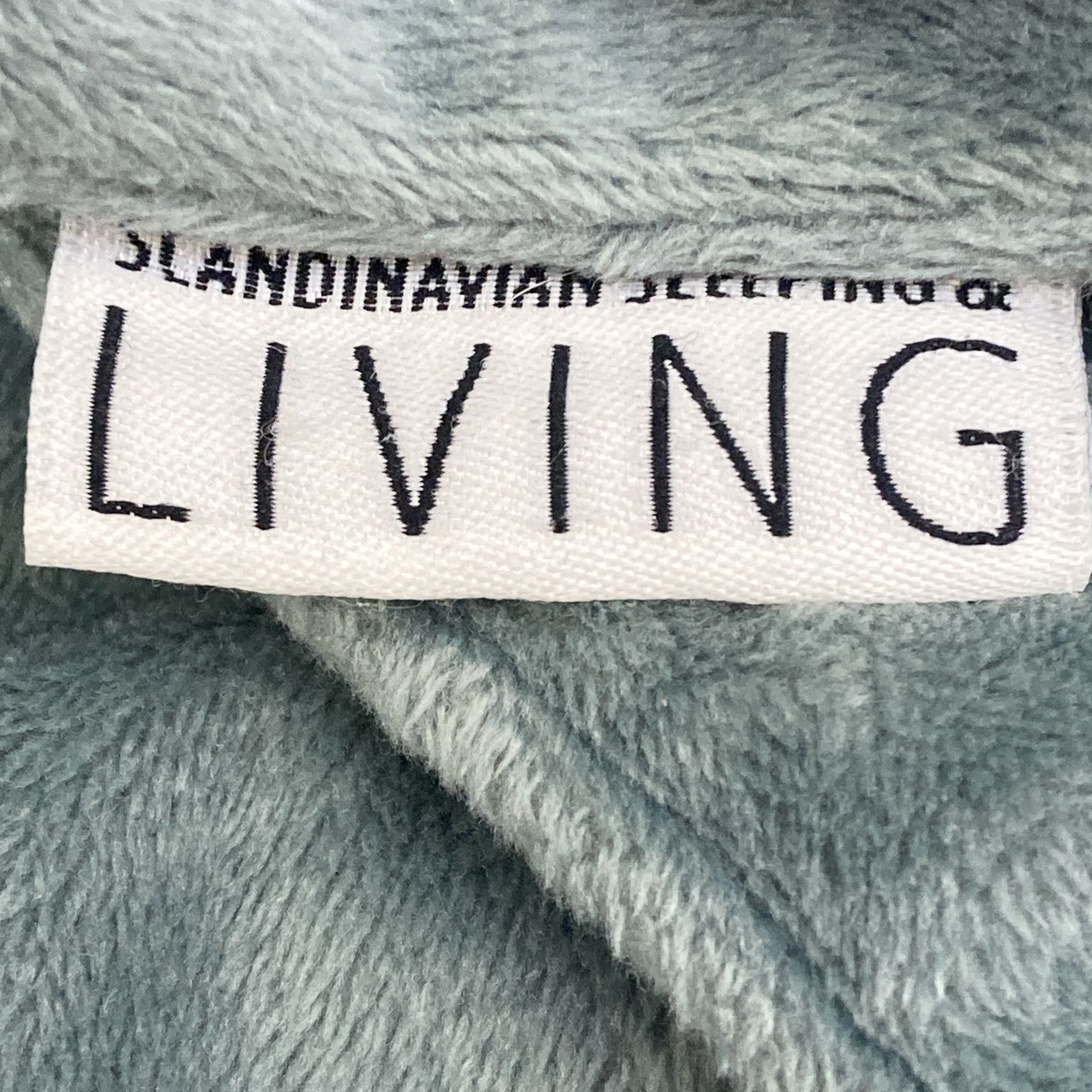 Scandinavian Sleeping  Living