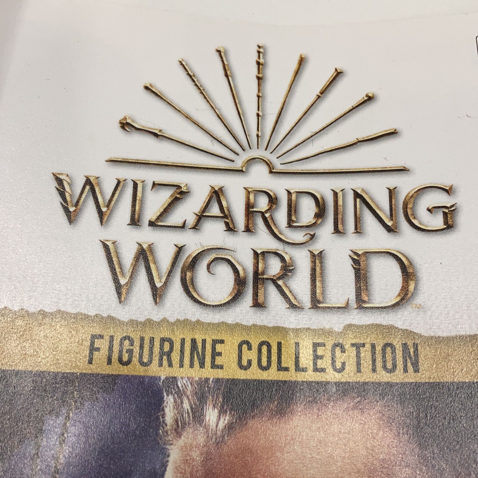 Wizarding World