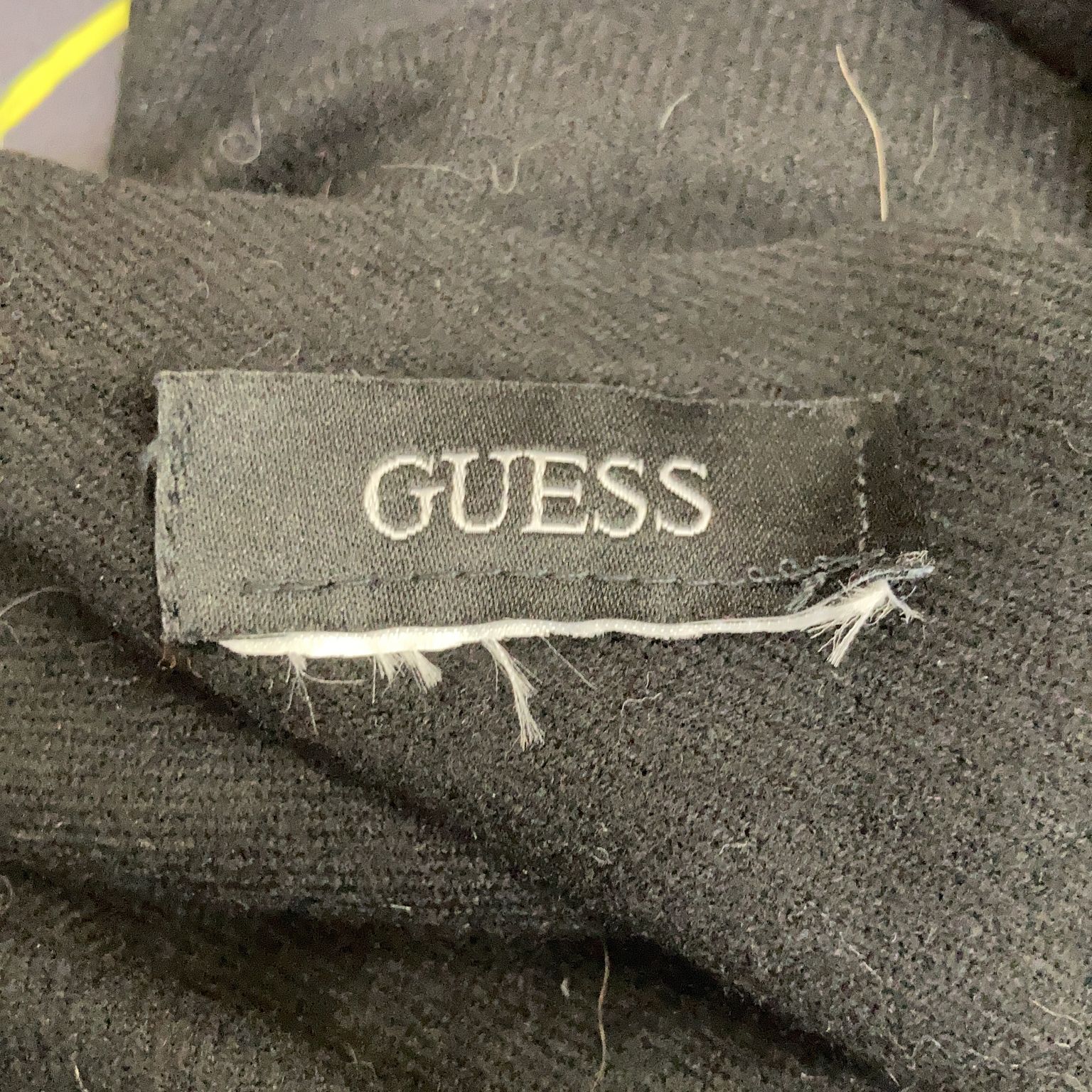 Guess