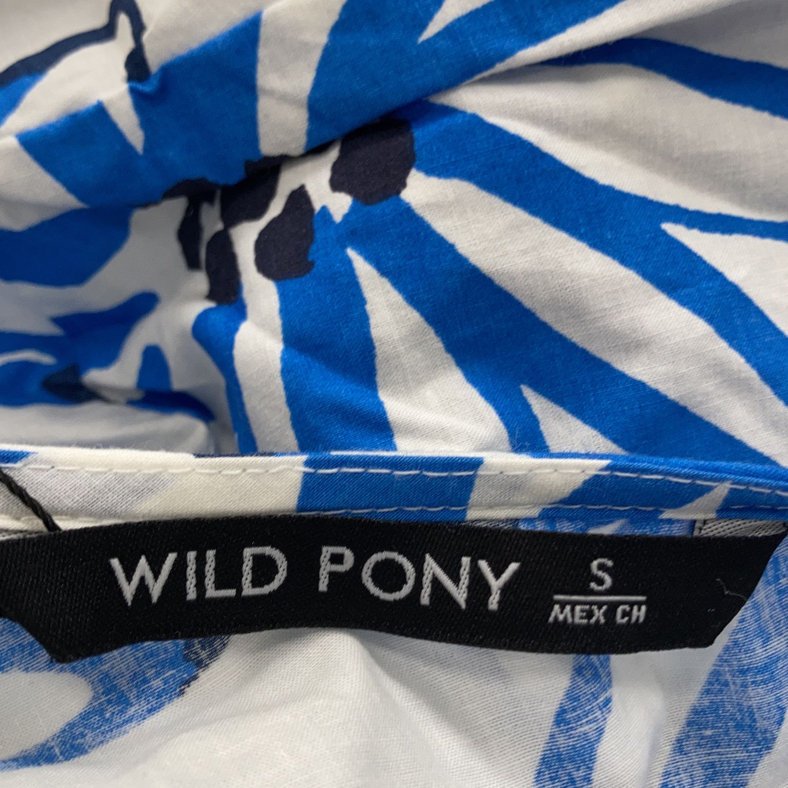 Wild Pony