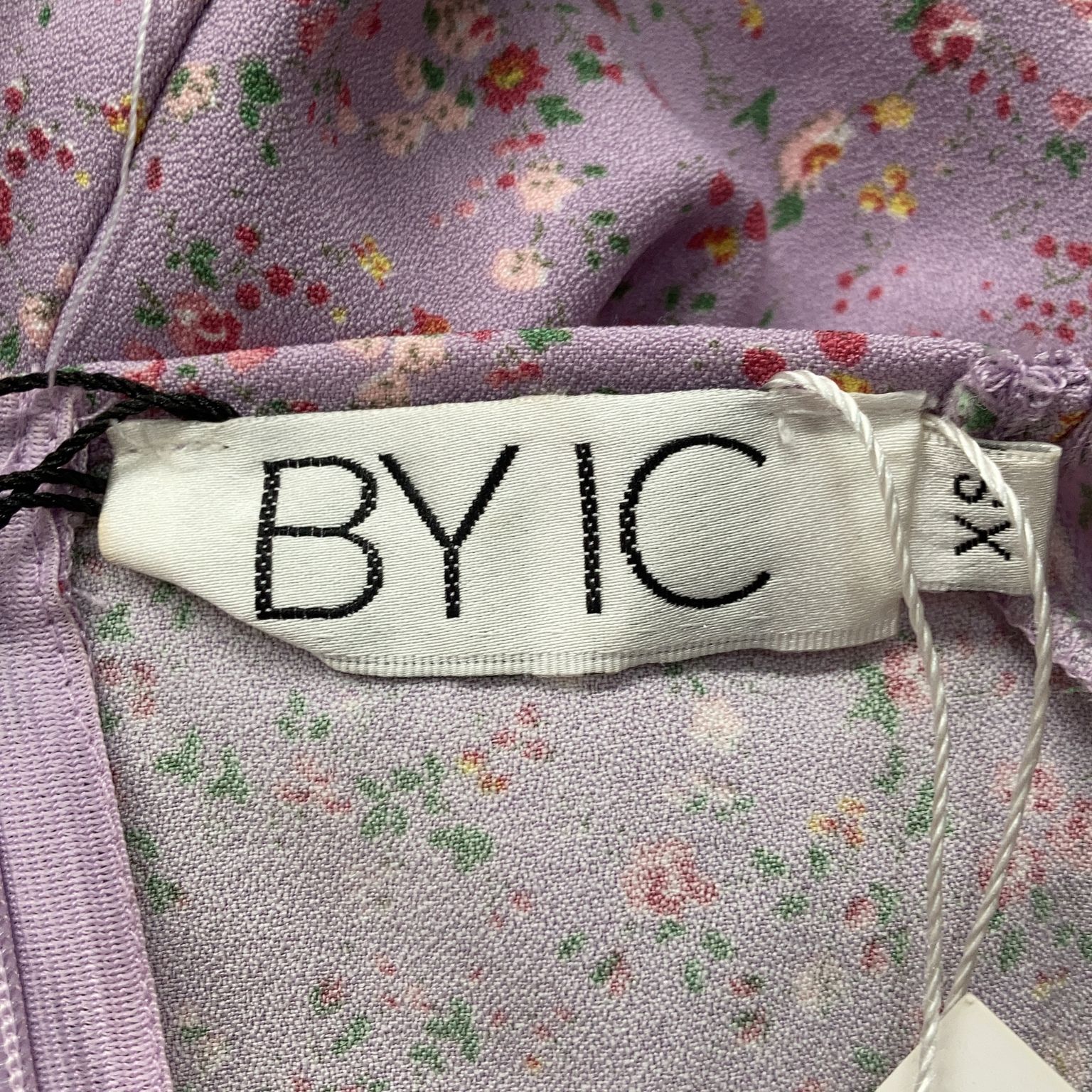 BYIC