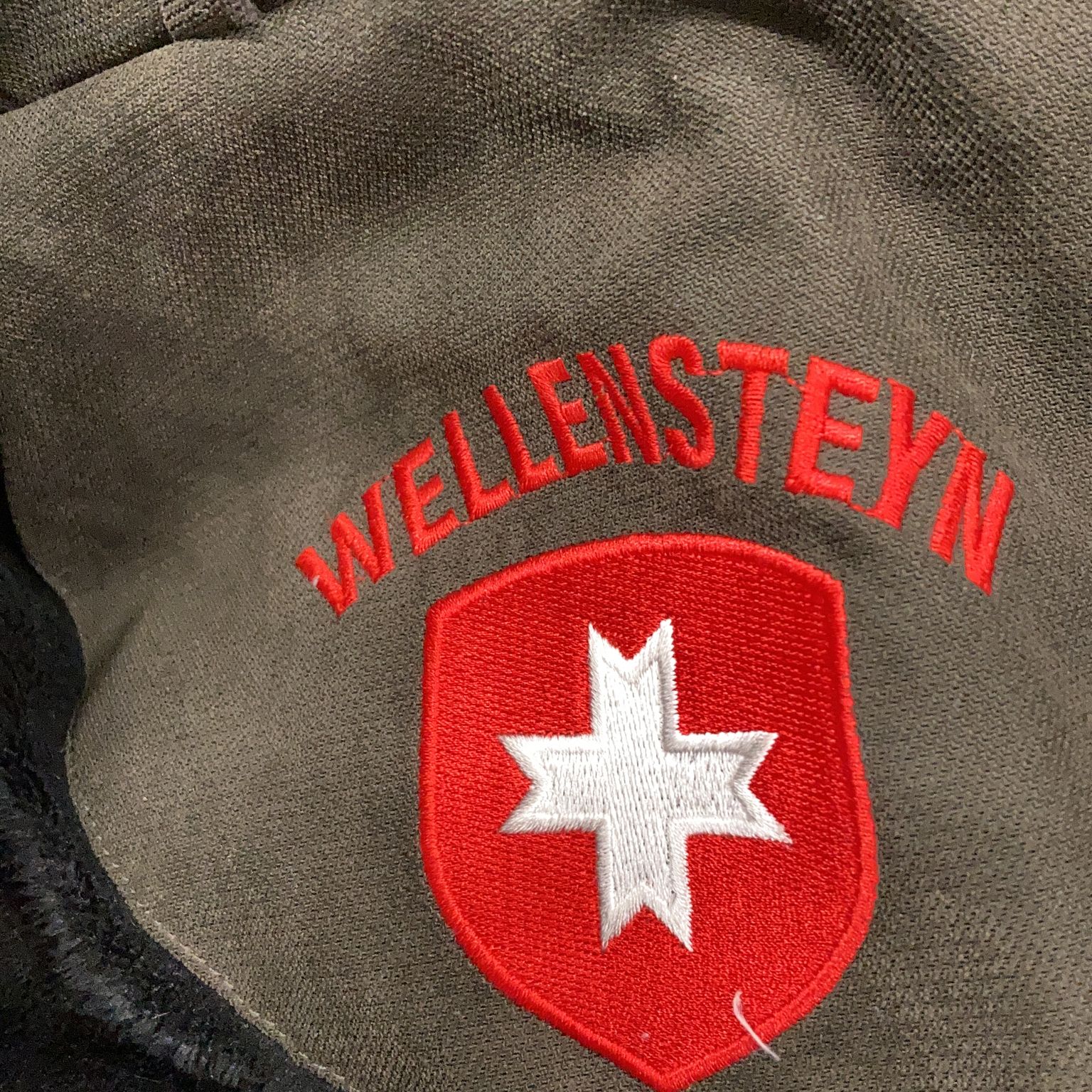 Wellensteyn