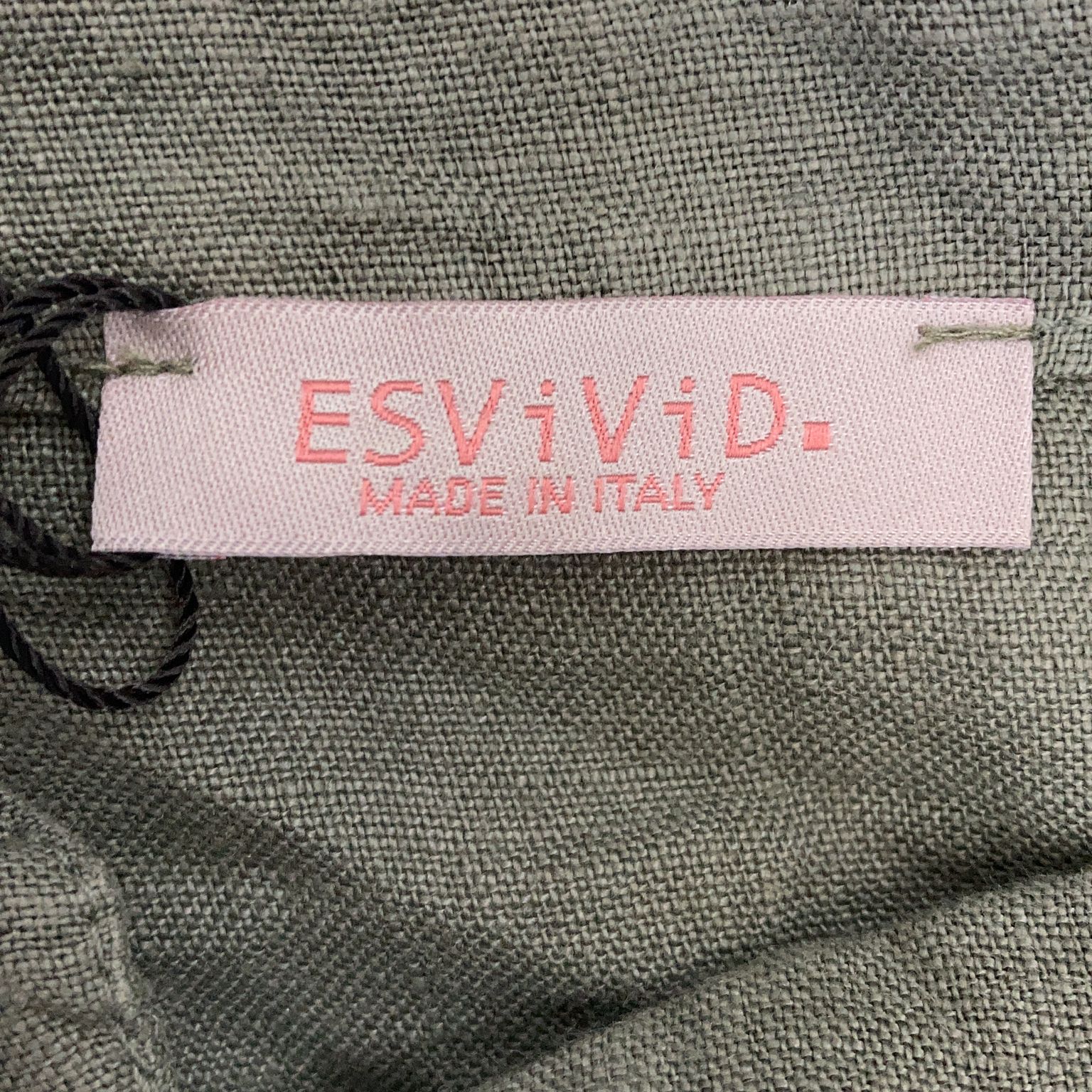 ESViViD