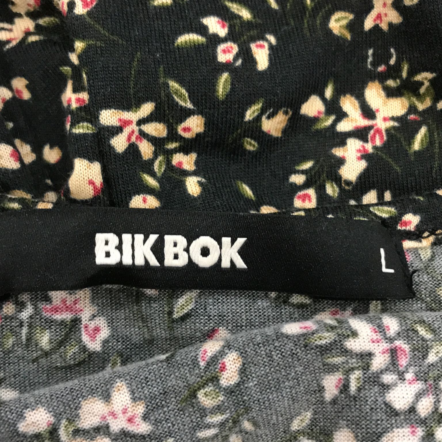 Bik Bok